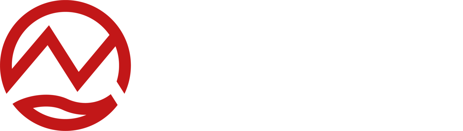 Novicos