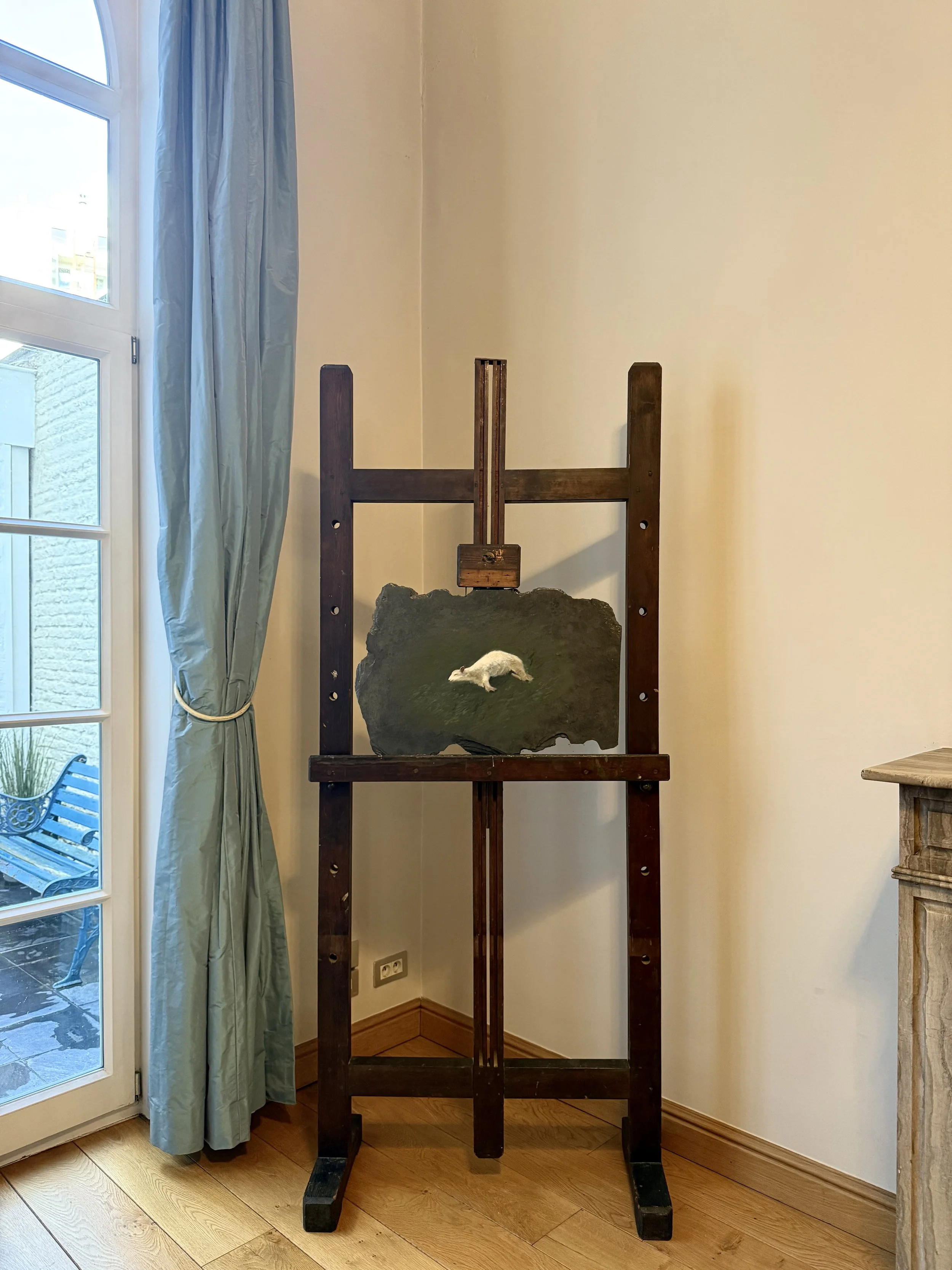 Green Pastures at Quartier Kortrijk, 2025