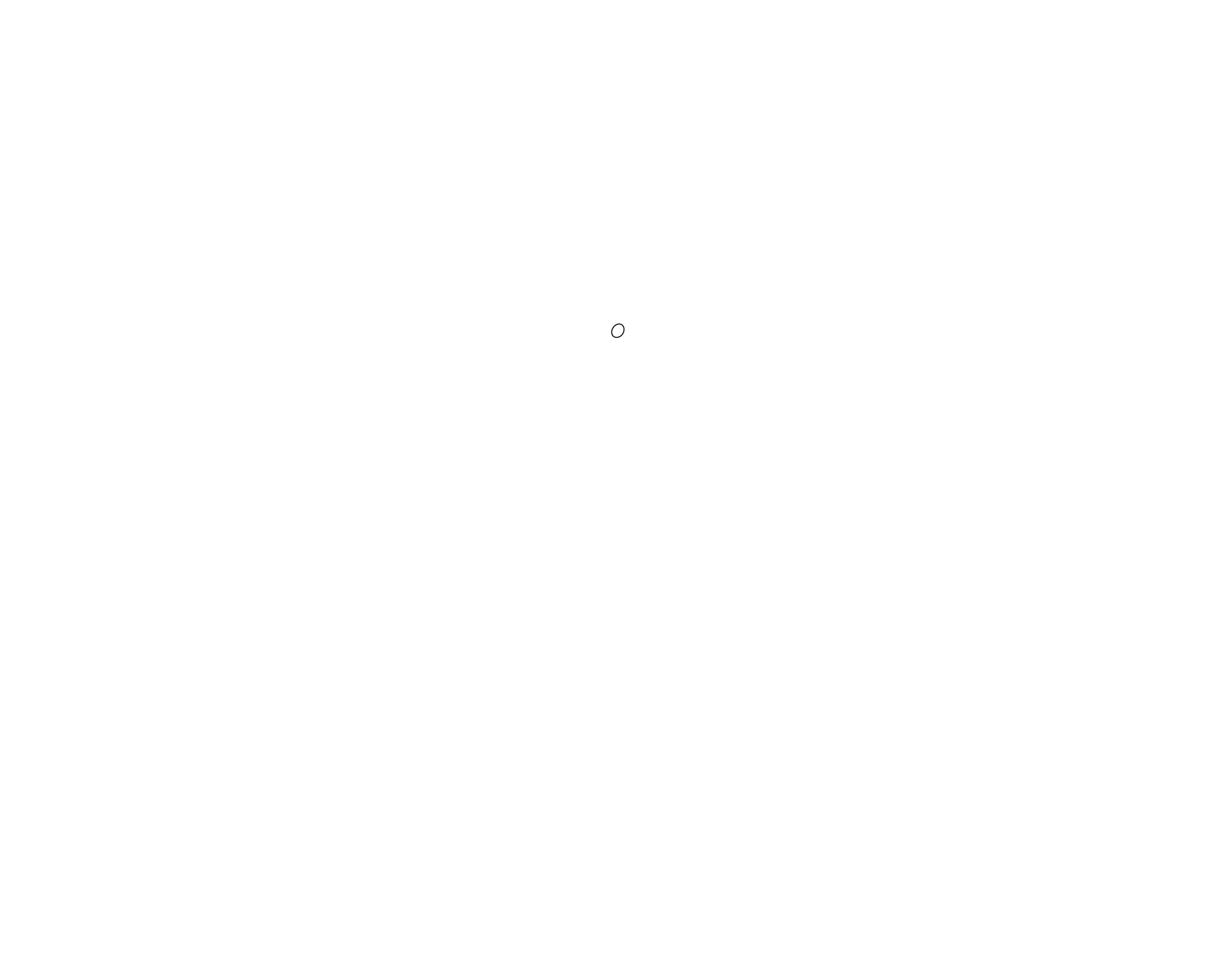 Penguin VR