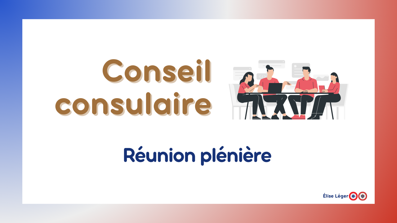 Conseil Consulaire - Réunion plénière