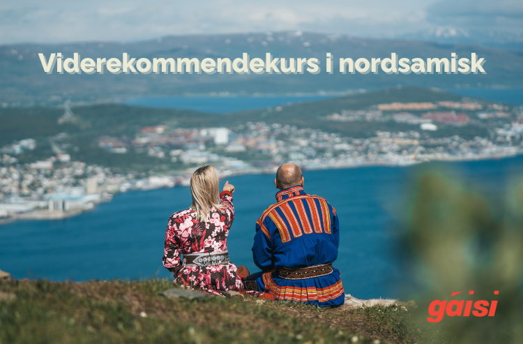 Viderekommendekurs i nordsamisk