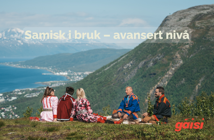 Samisk i bruk - avansert nivå