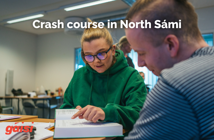 Sámegiel crash course // Samisk crash course