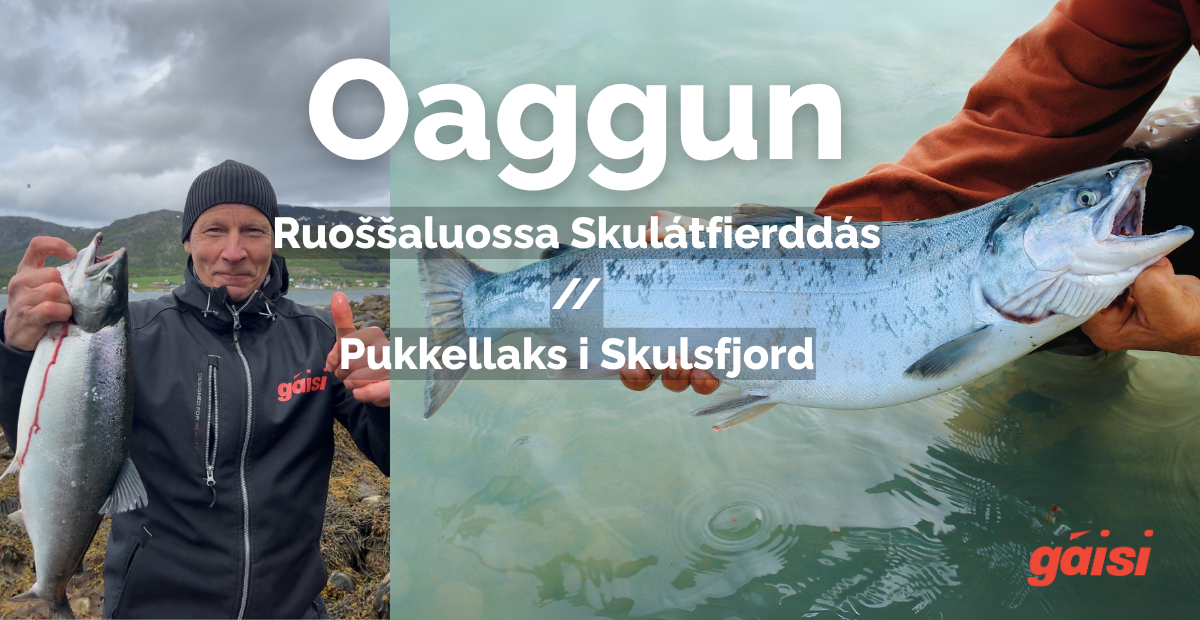 Oaggun Skulátfierddás // Fiske i Skulsfjord