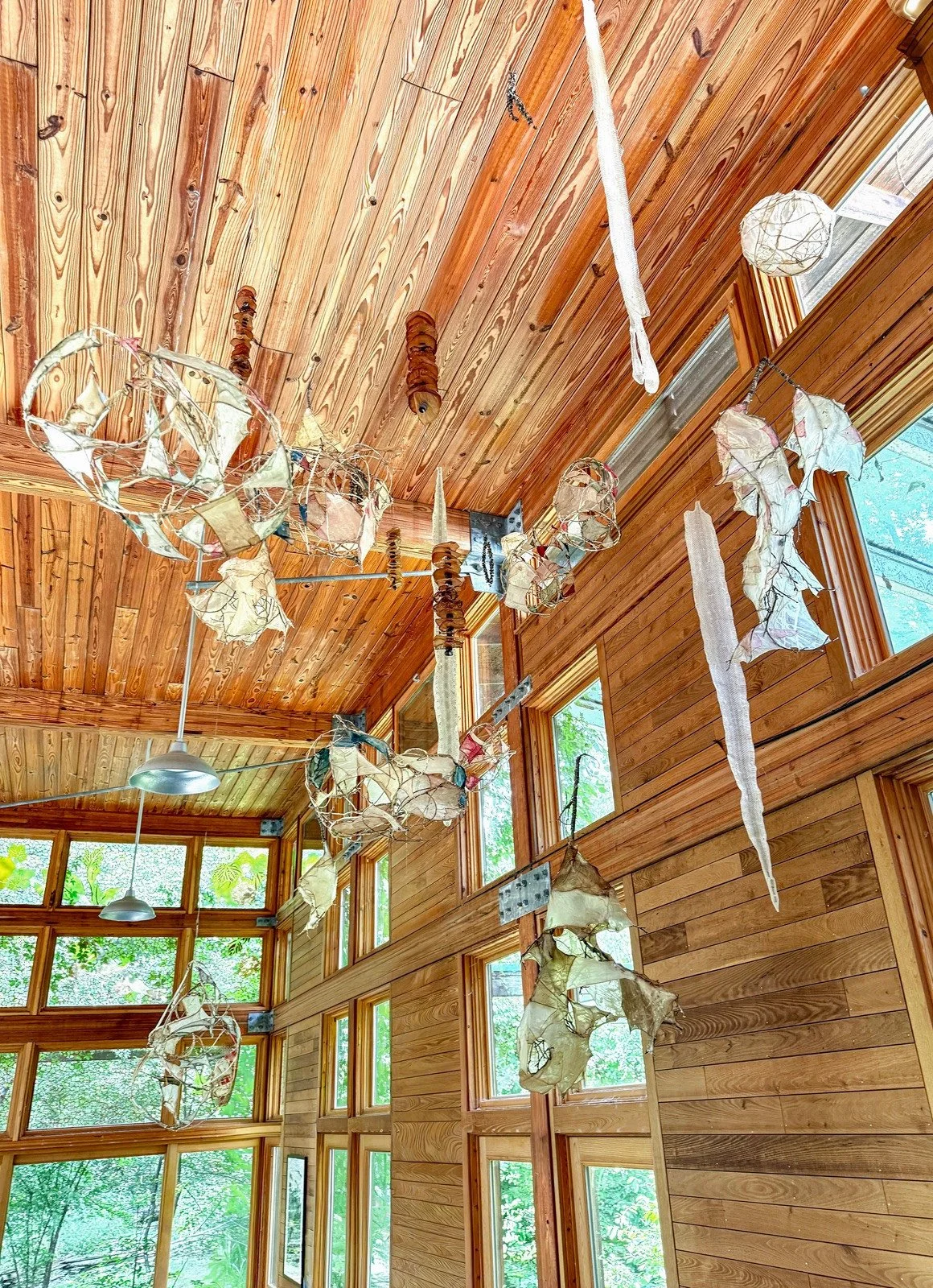 Side view of Interwoven by Marilee Salvator, showing a large open vine sculpture with translucent SCOBY pellicles in the foreground and smaller suspended forms extending into the gallery.