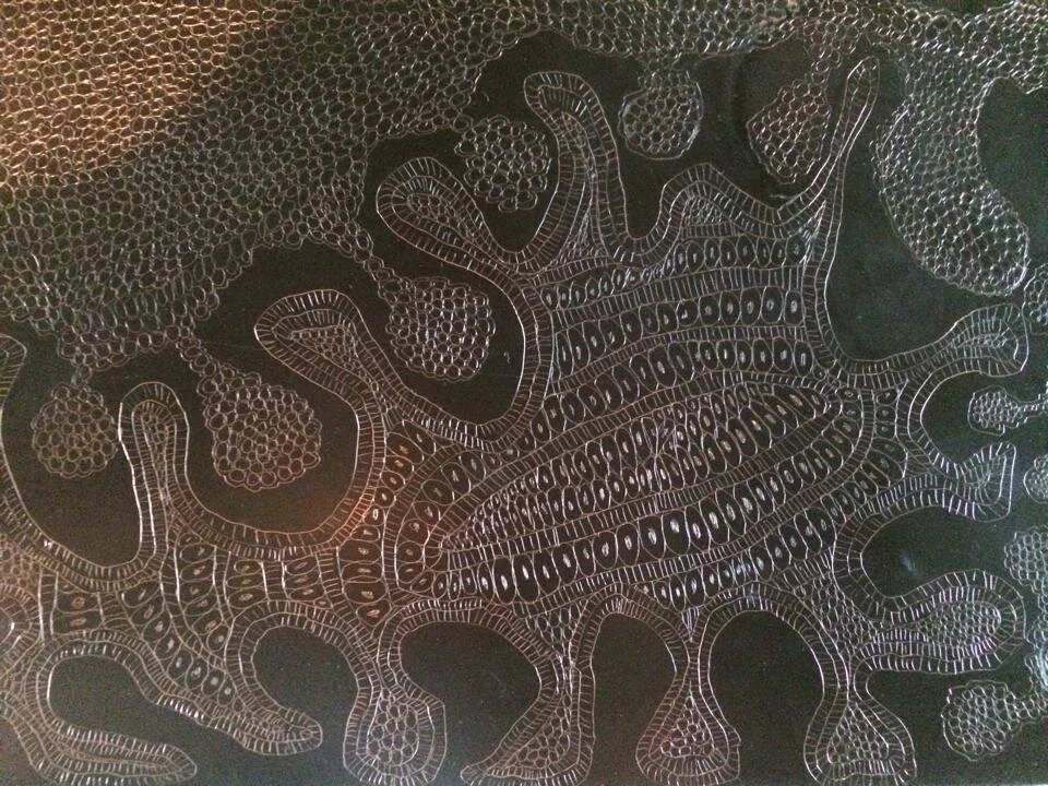 In process- plate photos