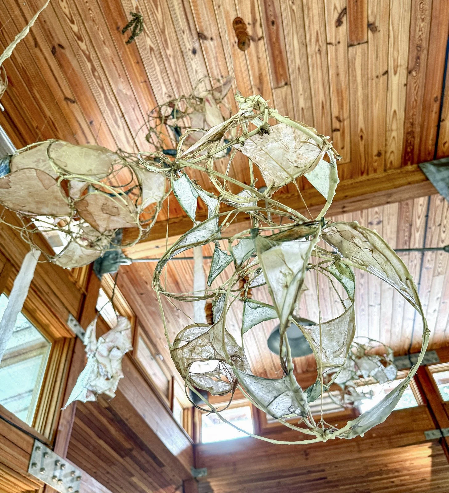  Upward-looking detail of Interwoven by Marilee Salvator showing an open spherical vine sculpture with translucent pale green and cream surfaces against a wooden ceiling.

