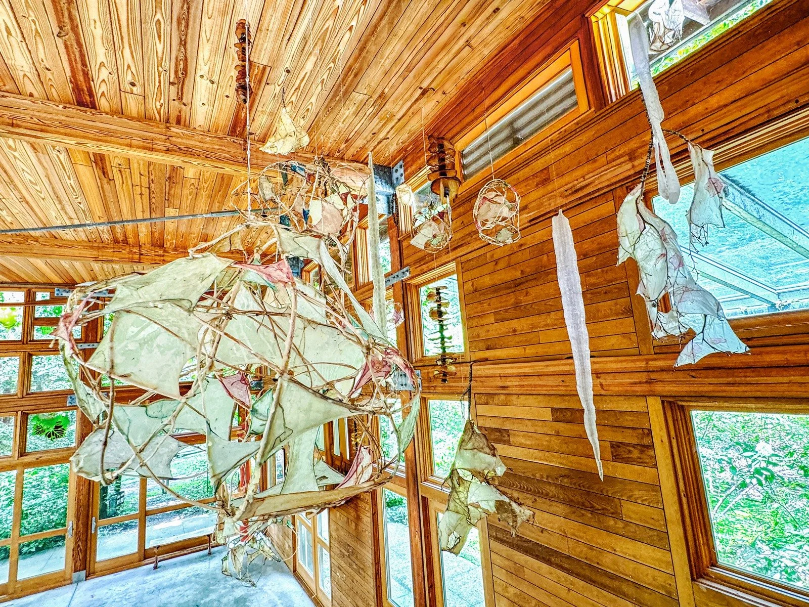 Side view of Interwoven by Marilee Salvator, showing a large open vine sculpture with translucent SCOBY pellicles in the foreground and smaller suspended forms extending into the gallery.
