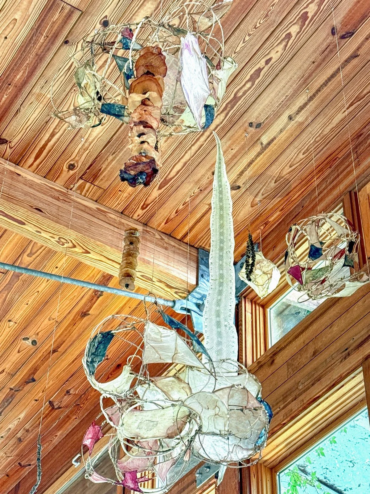  Detail of Interwoven by Marilee Salvator showing two long translucent snake sheds suspended beside sculptural forms made from vines and pale, pink-edged organic materials.