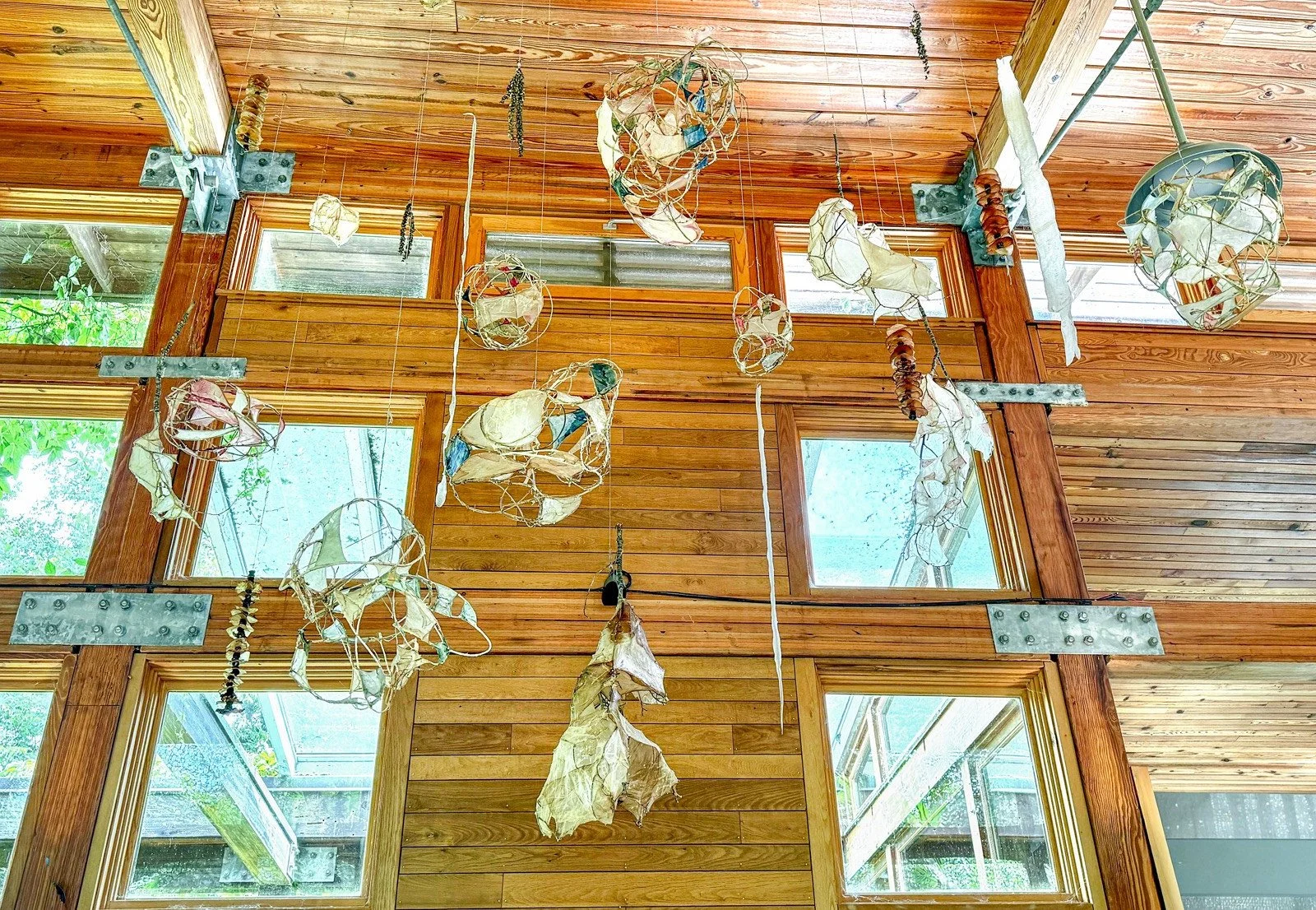 Overall view of Interwoven, a suspended installation by Marilee Salvator, with sculptural vine forms, translucent SCOBY pellicles, and natural materials hanging at different heights in a wood-lined gallery.