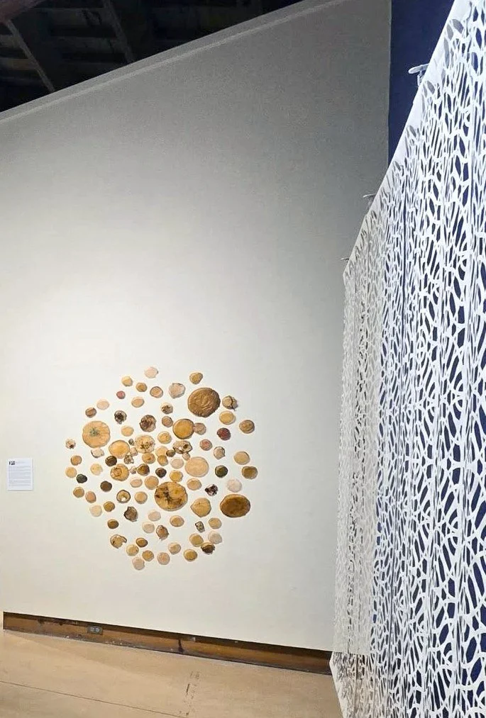 Installed at Wiregrass Museum, Dothan, Alabama