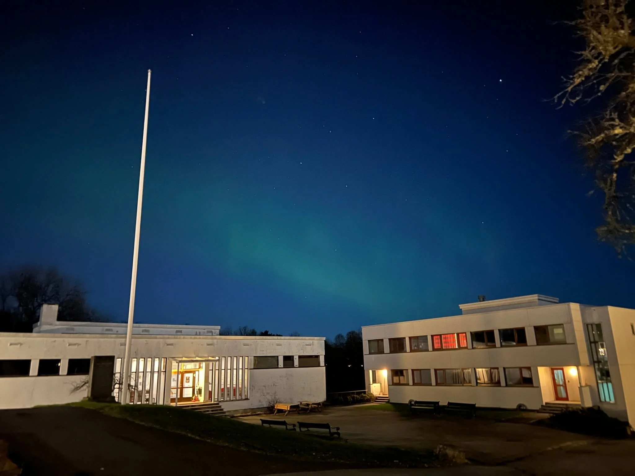 Det er vakkert p&aring; Fana folkeh&oslash;gskule i mars: krokusblomstring p&aring; dagtid og nordlys om natten