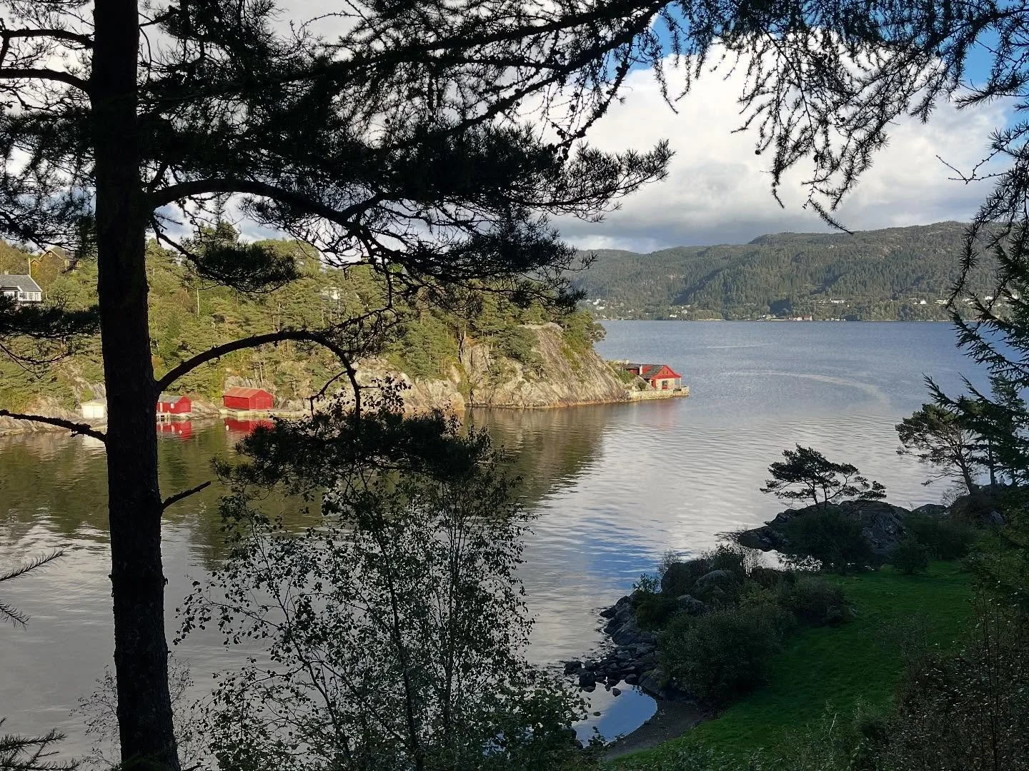 What are the best folk high schools in Norway for learning Norwegian language and culture?