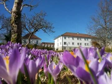 Markering av frigjøringsdagen 8. mai
