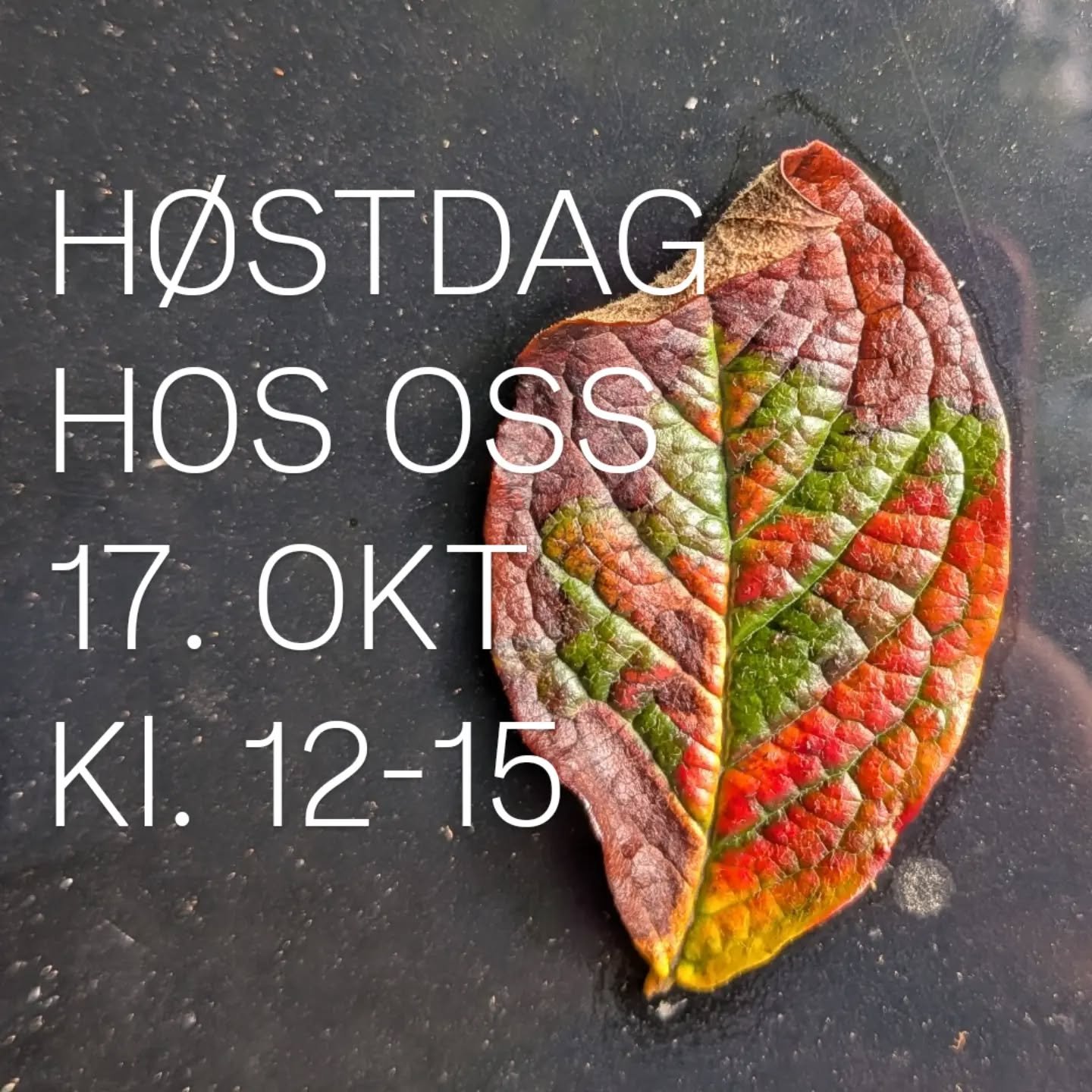 Vi inviterer til Bergens botanisk hage, hvor skolen ligger, for en deilig, lun og koselig h&oslash;stdag! Alle inntekter g&aring;r til tv- aksjonen 💐