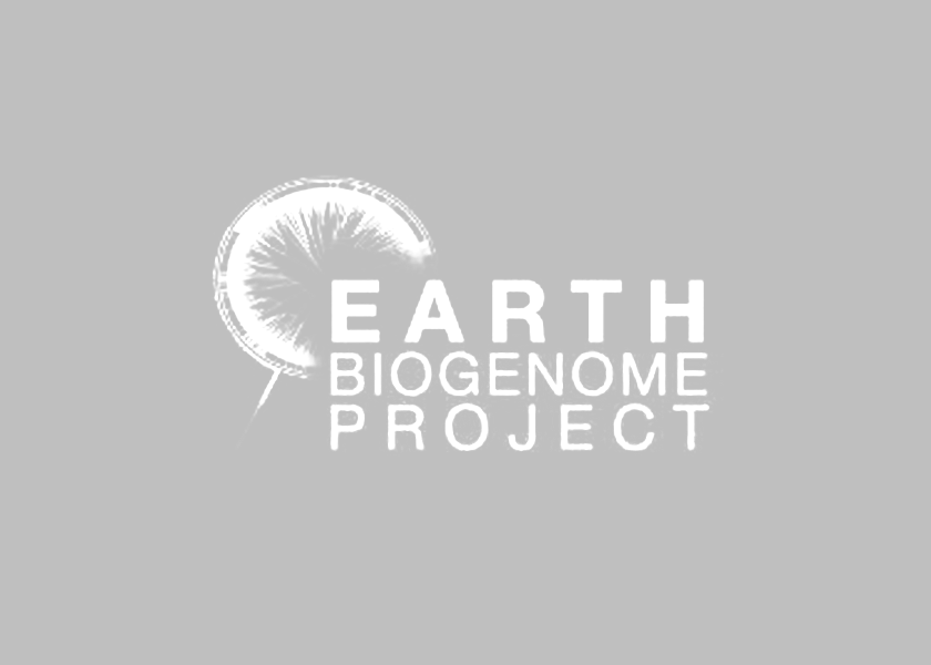 The Earth BioGenome Project 2020: Starting the clock