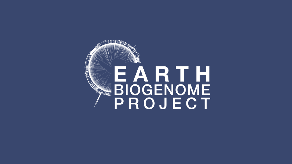 An international scientific moonshot to sequence, catalog, and characterize Earth’s eukaryotic biodiversity, creating a new foundation for biological discovery.