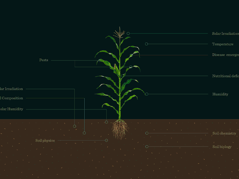 Autonomous Per Plant Farming