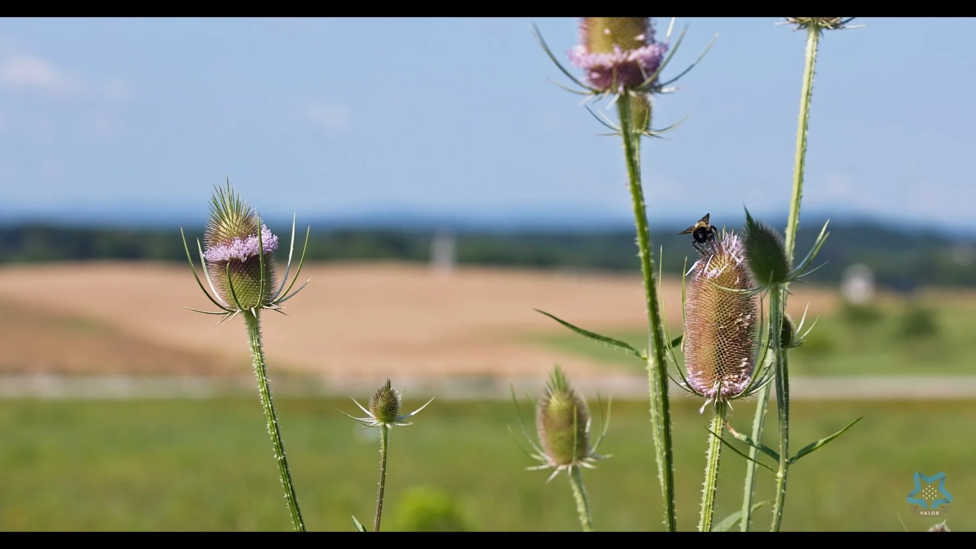 Coolidge National Medal of Honor Heritage Center - Teacher Fellowship Gettysburg Trip