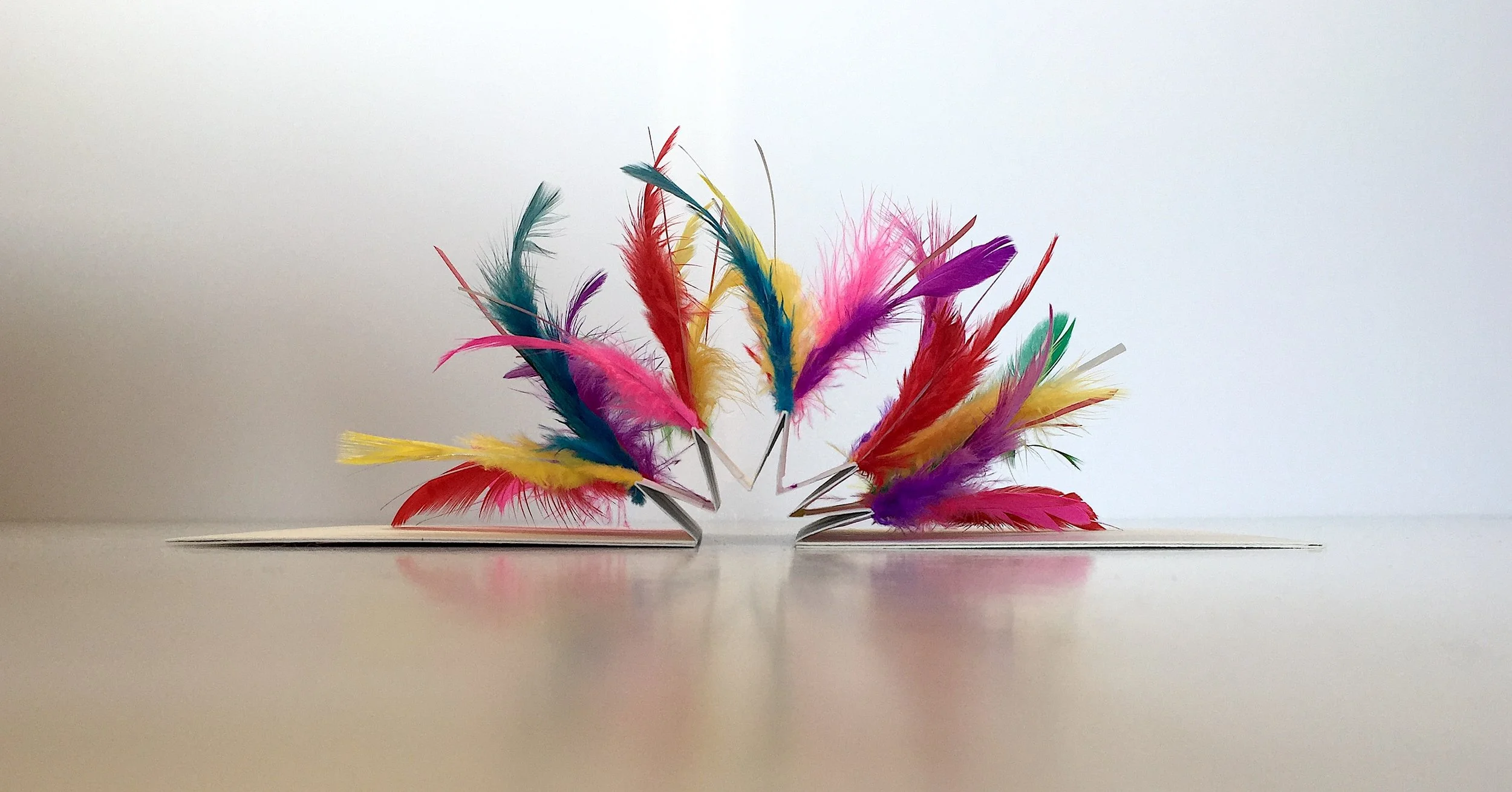 Feather Sticks (2024)