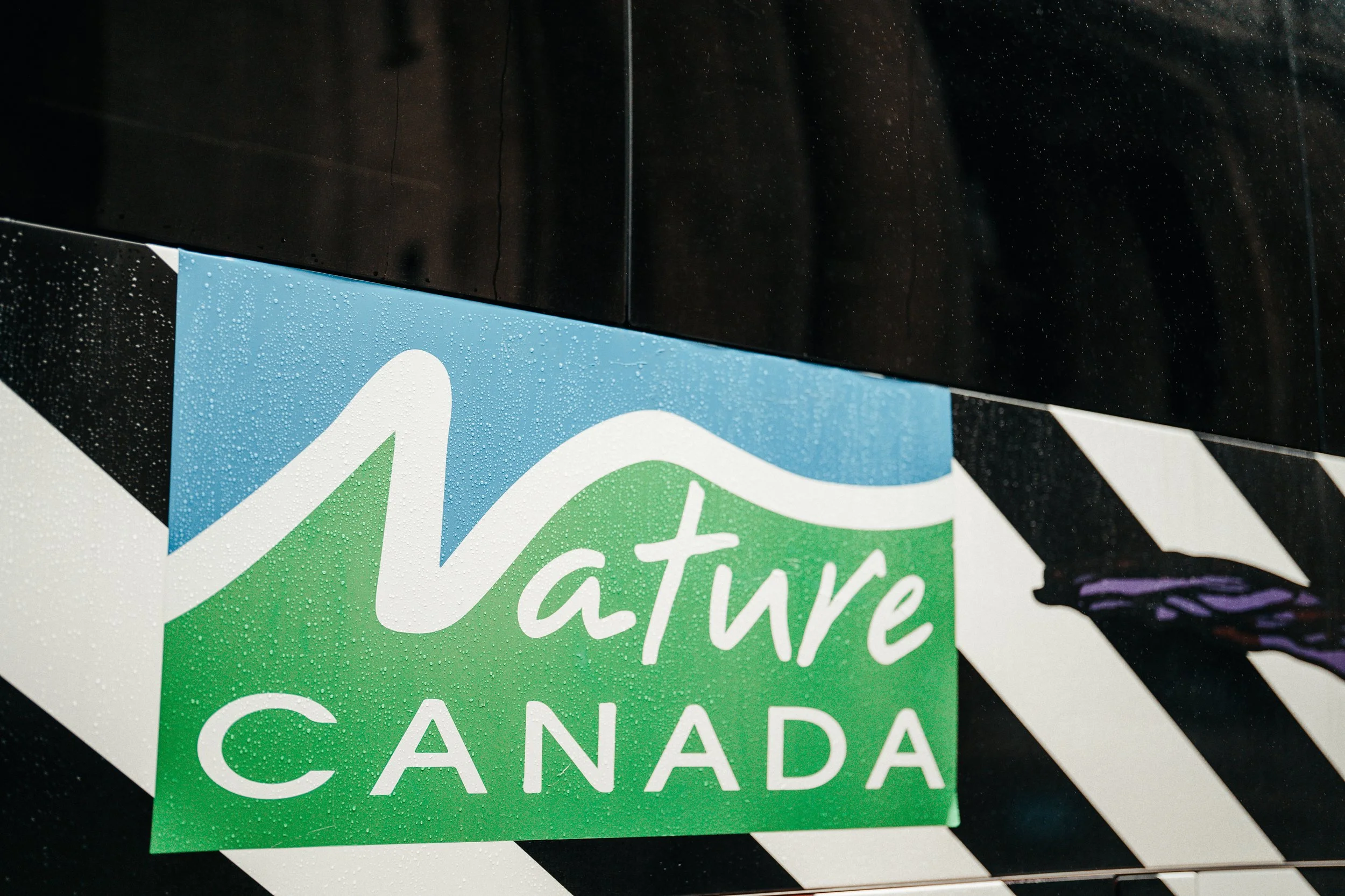 Nature canada-3.JPG