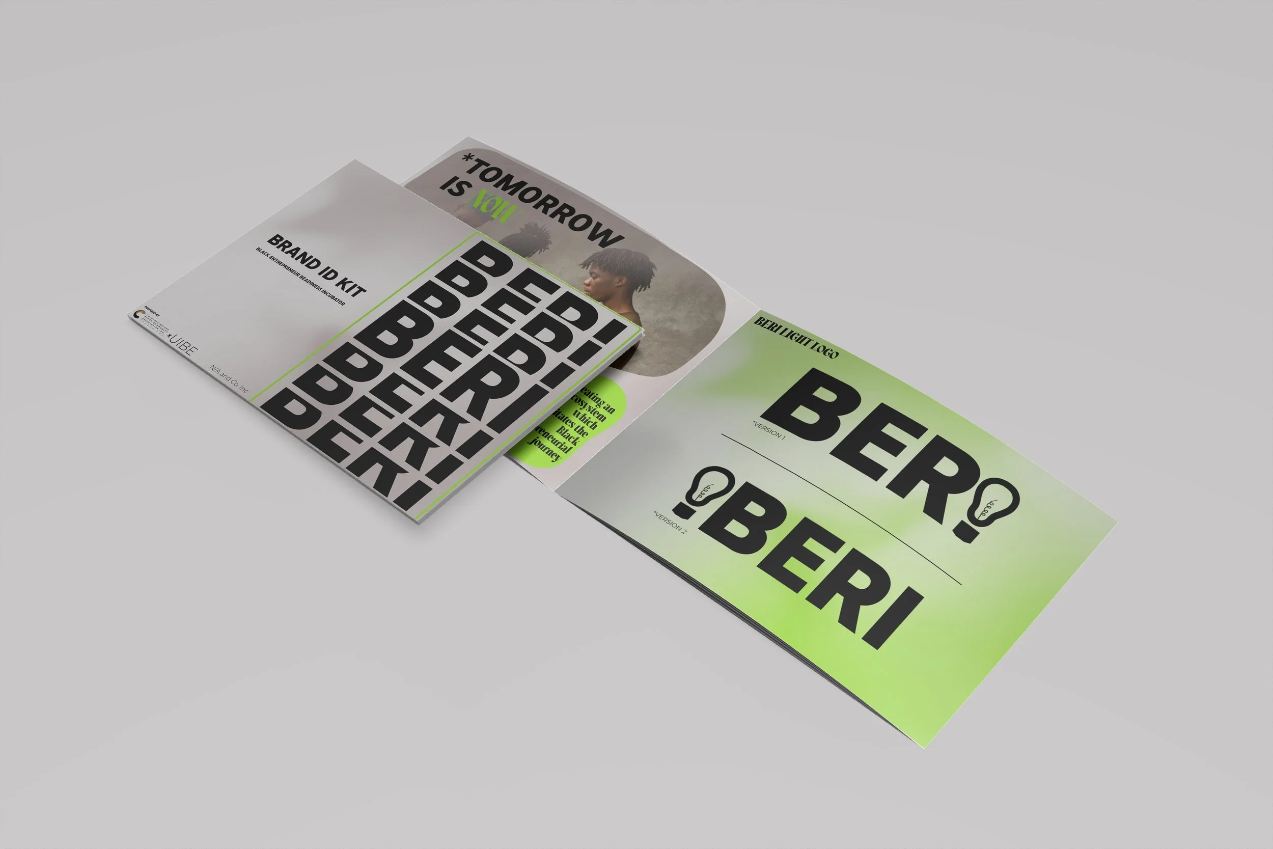 BERI_brandbook_pres.jpg