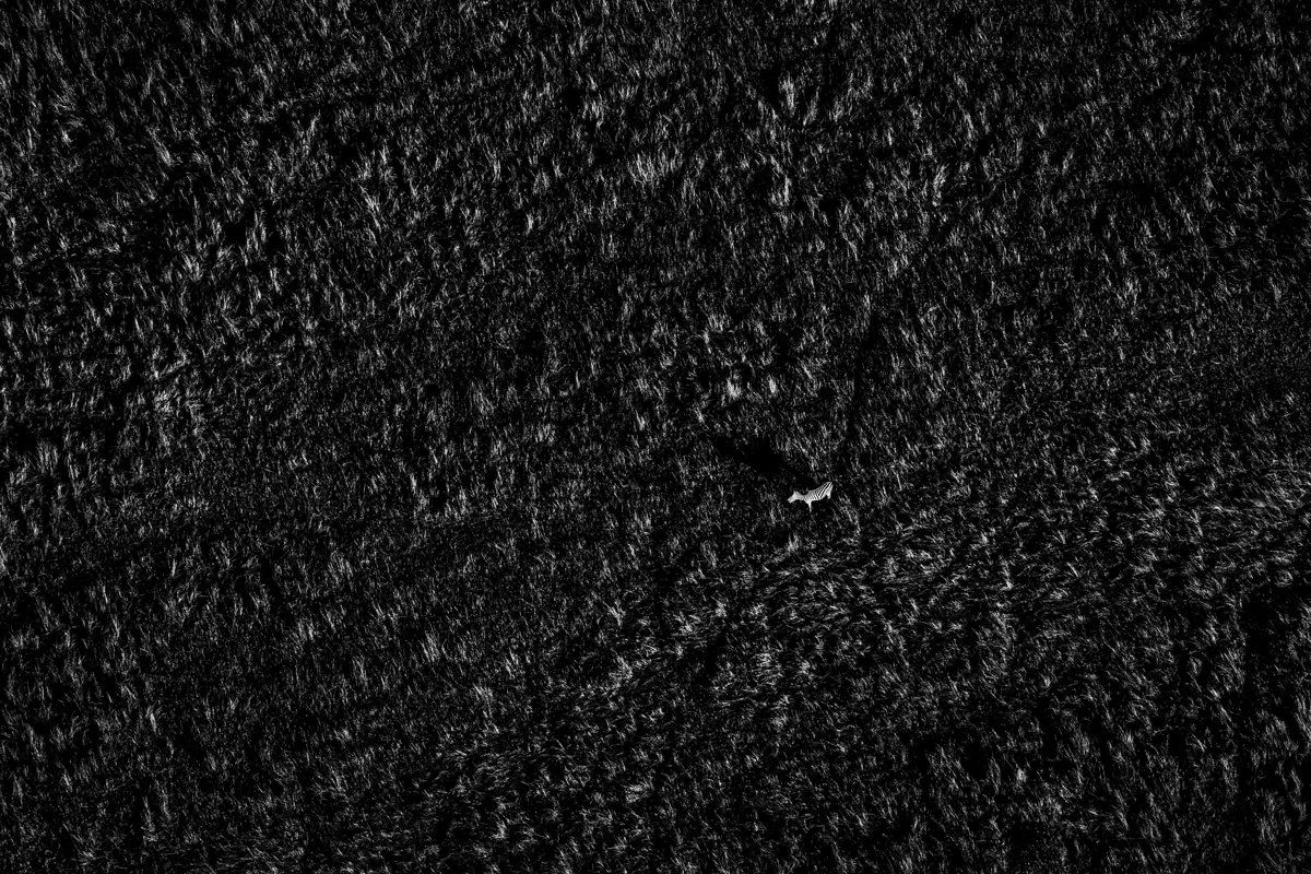 Monochrome06.jpg