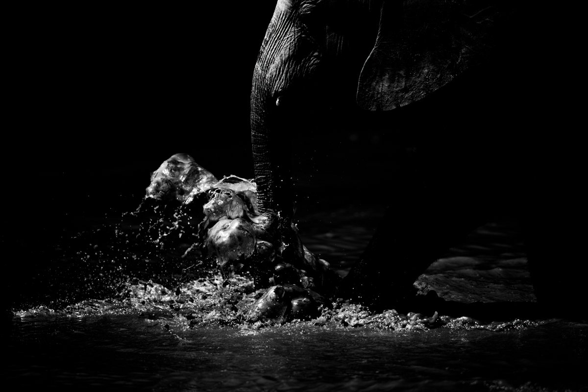 Monochrome26.jpg