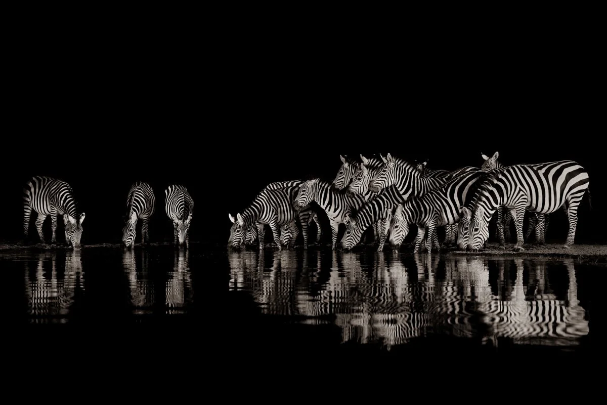 AfricanIcons18.jpg
