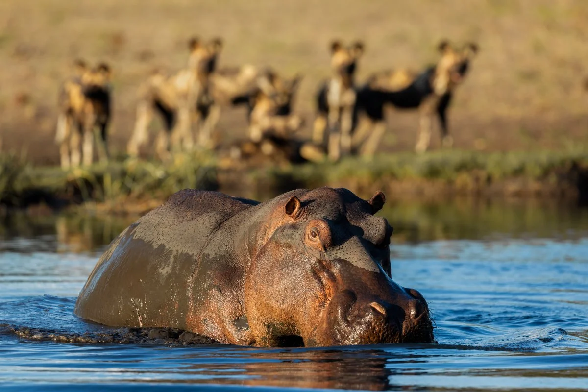 AfricanIcons37.jpg