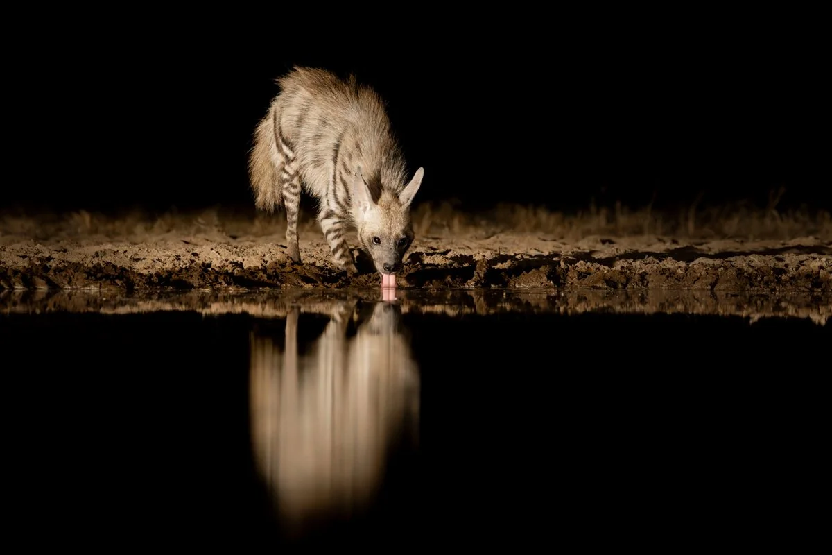 GeneralWildlife20.jpg