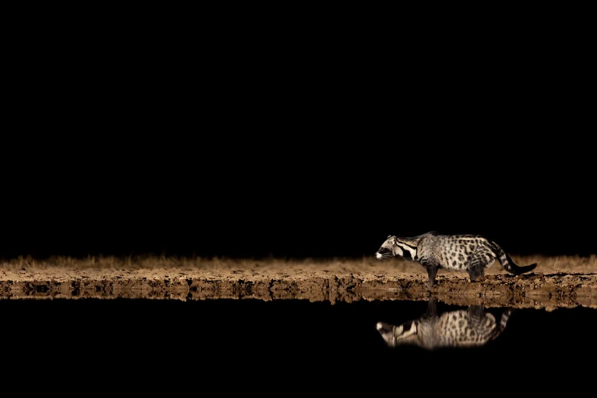 GeneralWildlife34.jpg