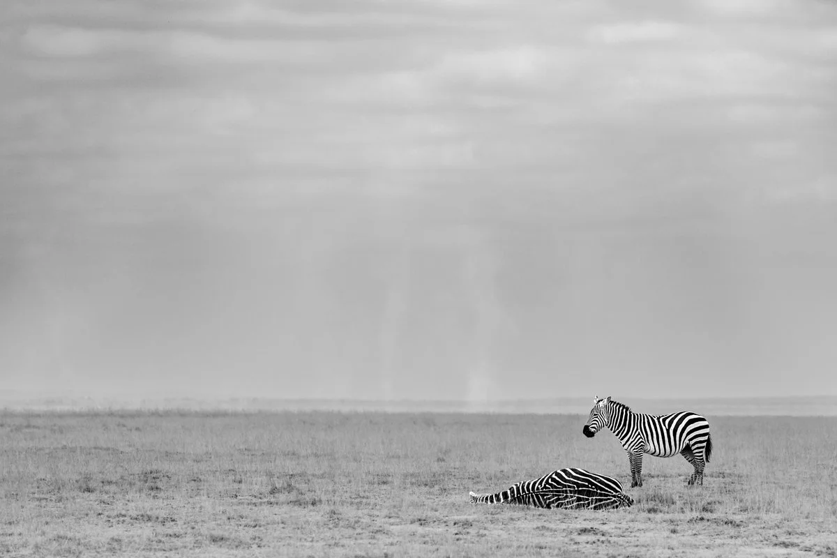 Monochrome24.jpg