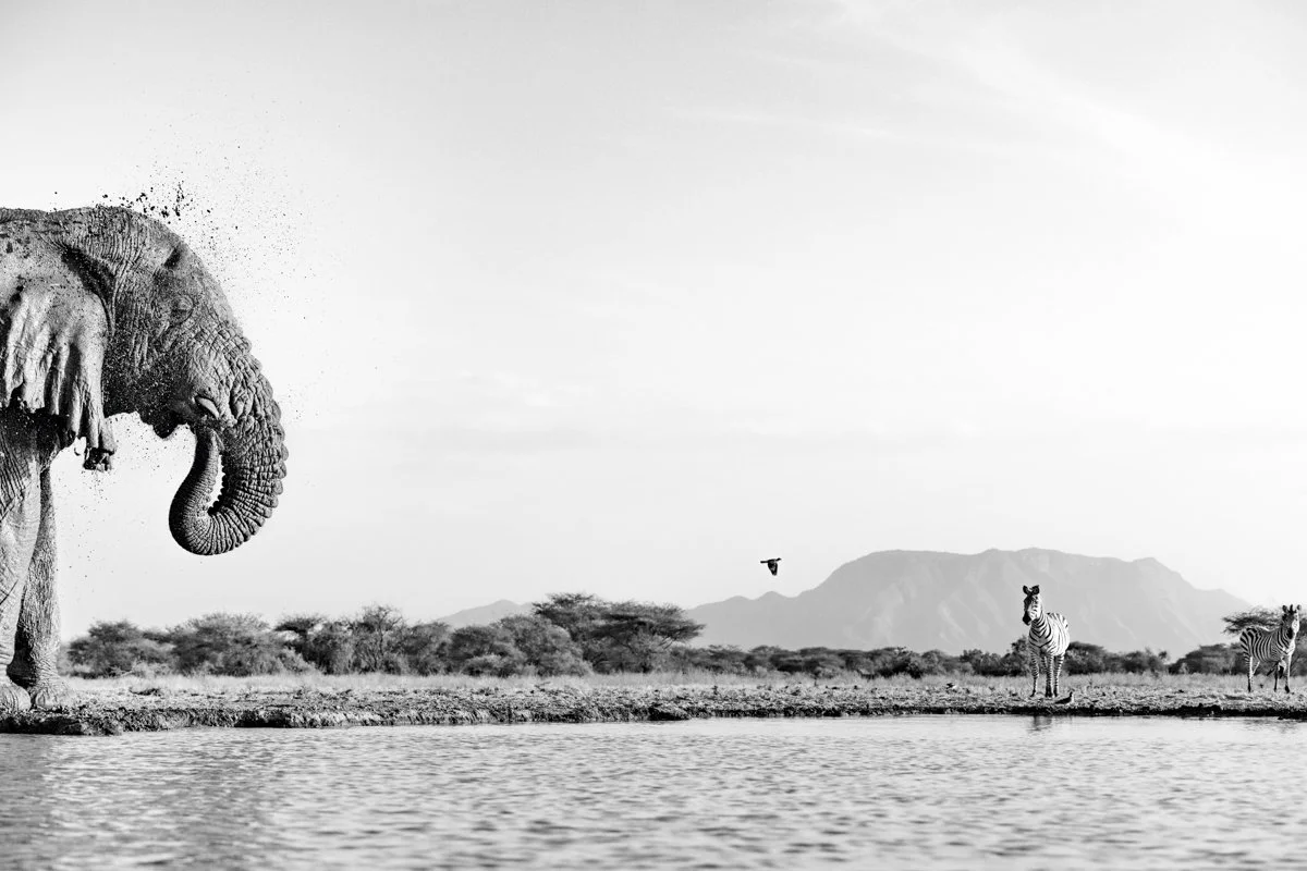 Monochrome02.jpg