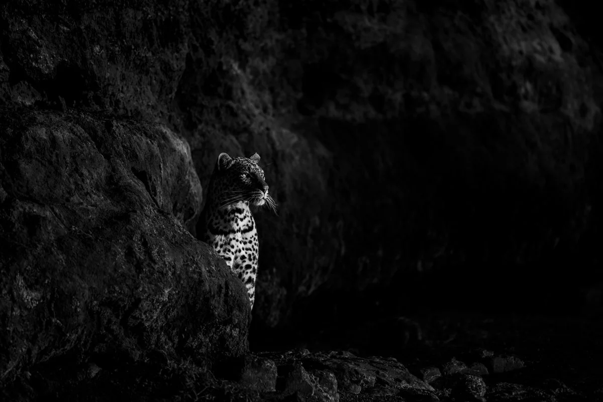 Monochrome29.jpg