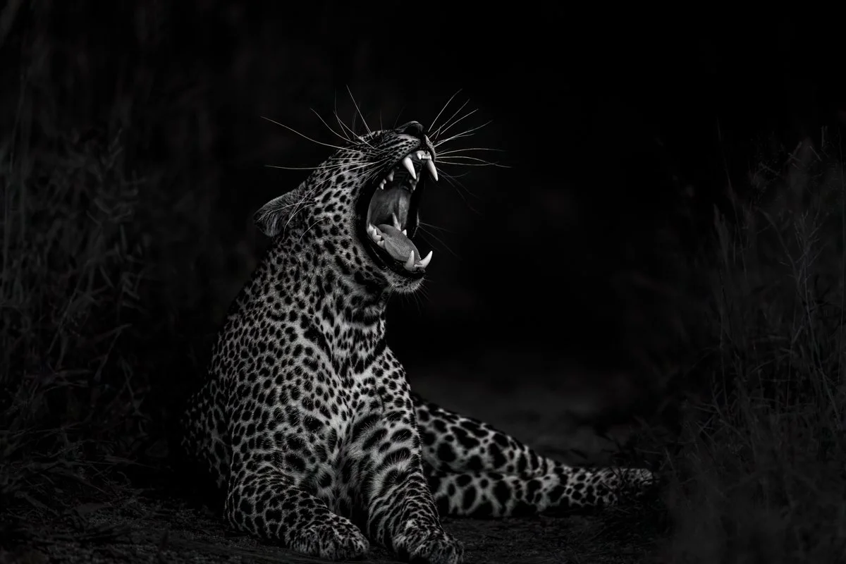 Monochrome10.jpg