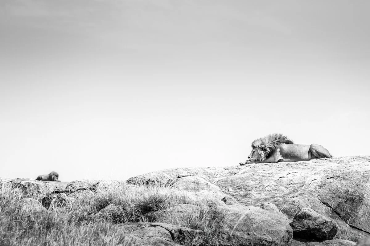 Monochrome04.jpg