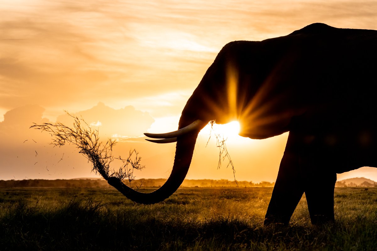 AfricanIcons08.jpg