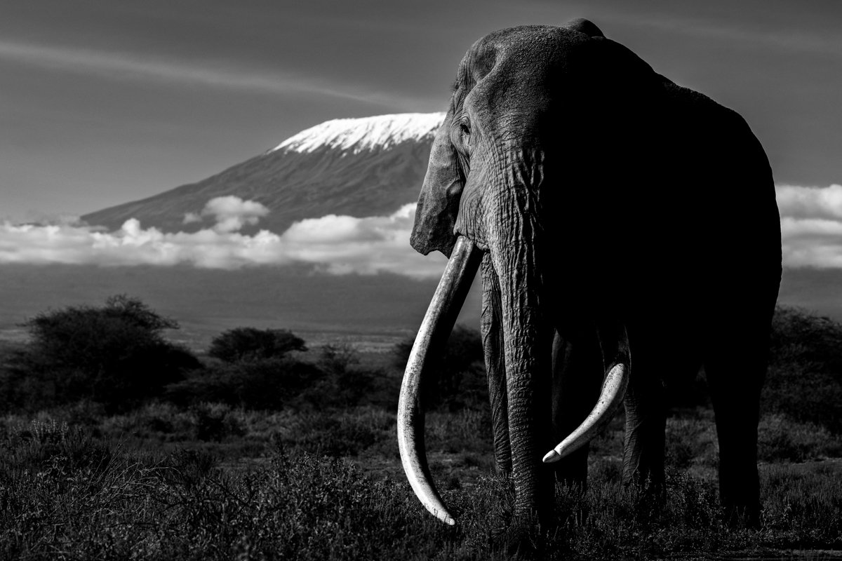 Monochrome03.jpg