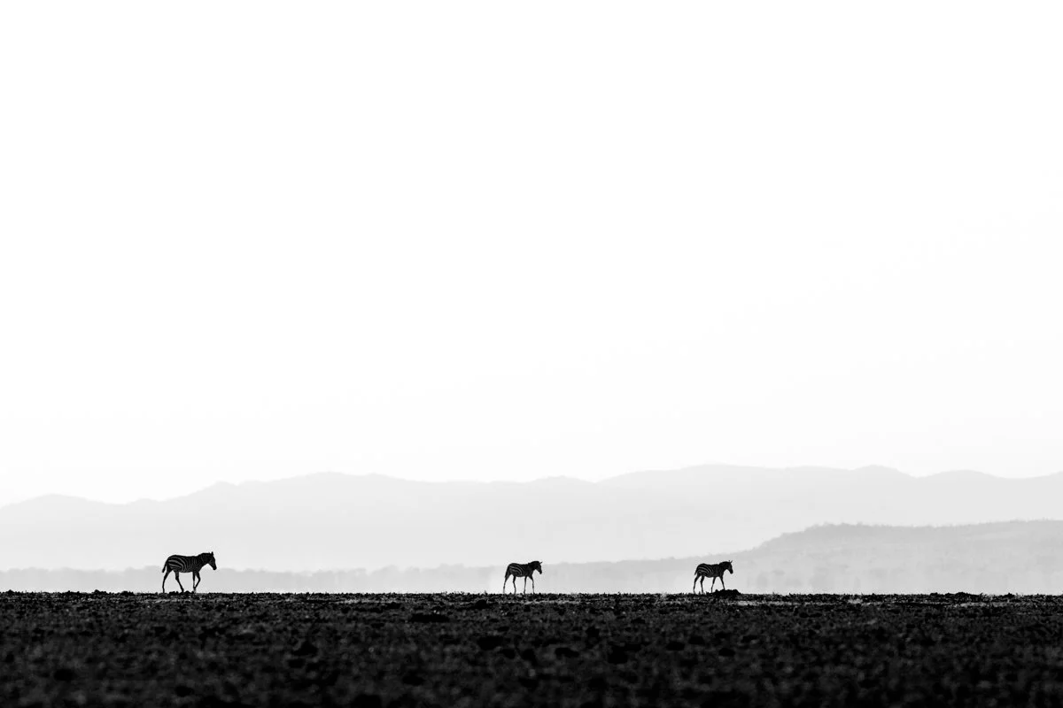 Monochrome33.jpg