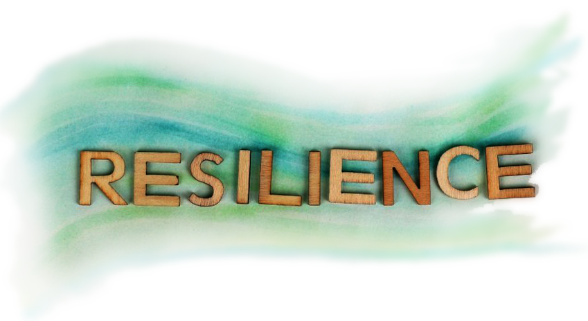 The 'Resilience' Dilemma, and How to Reclaim This Misunderstood Word — Dawn  Ellison, MD