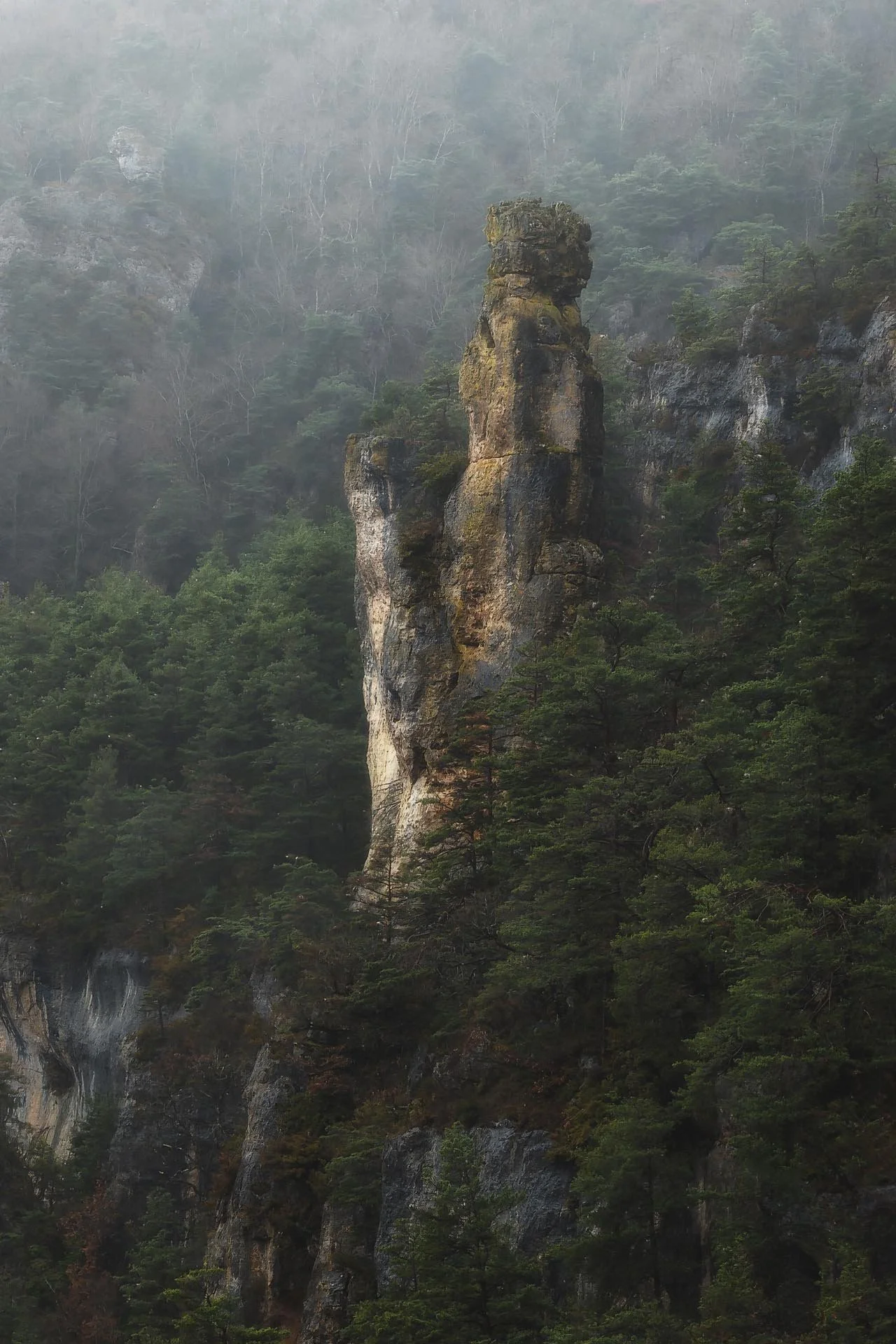 Ravin des Bastides/ Lozère