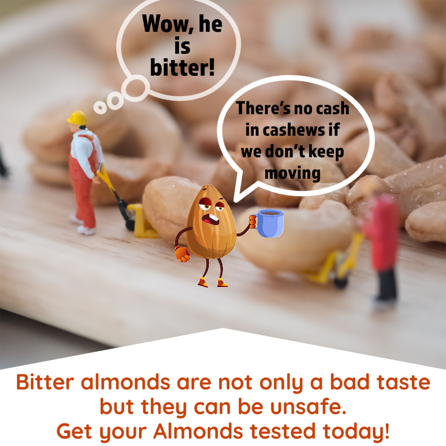 Animated characters of an almond and two workers pushing a wheelbarrow, with speech bubbles saying 'Wow, he is bitter!' and 'There's no cash in cashews if we don't keep moving.' Text at the bottom says, 'Bitter almonds are not only a bad taste but th
