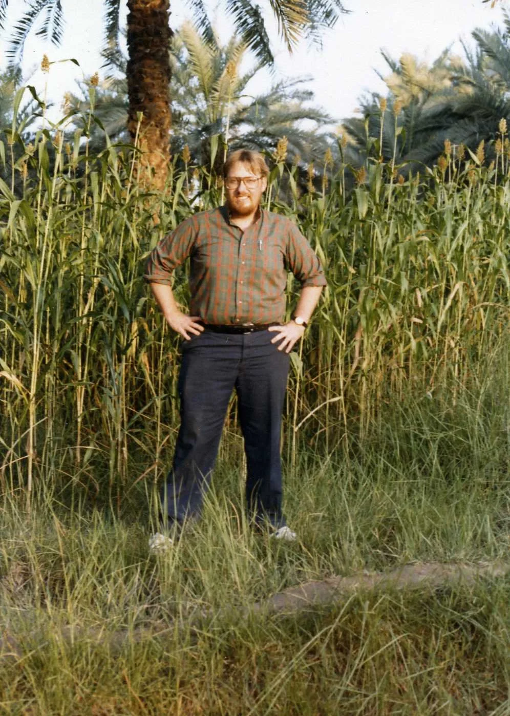 A man with glasses, a beard, and a plaid shirt standing in front of tall corn plants and palm trees.