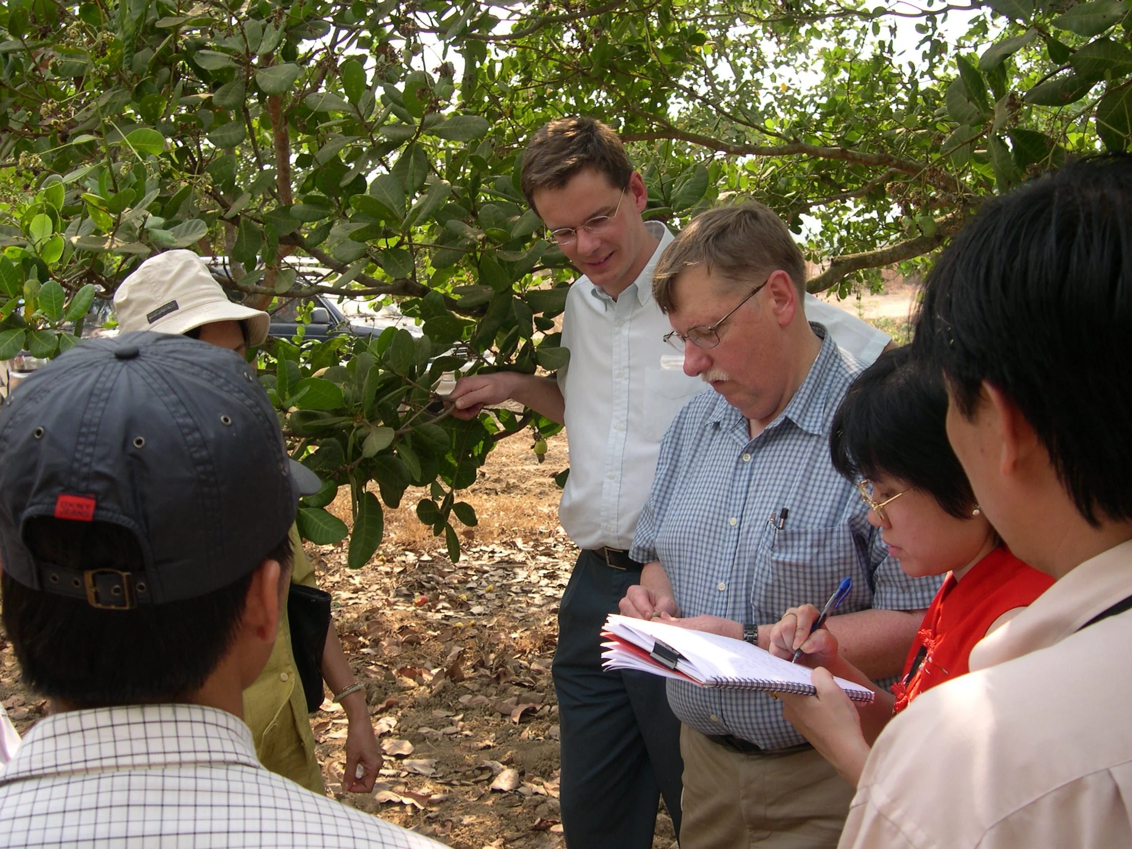 A group of people gathered outdoors under a large leafy tree, engaged in a discussion or activity, with some taking notes.
