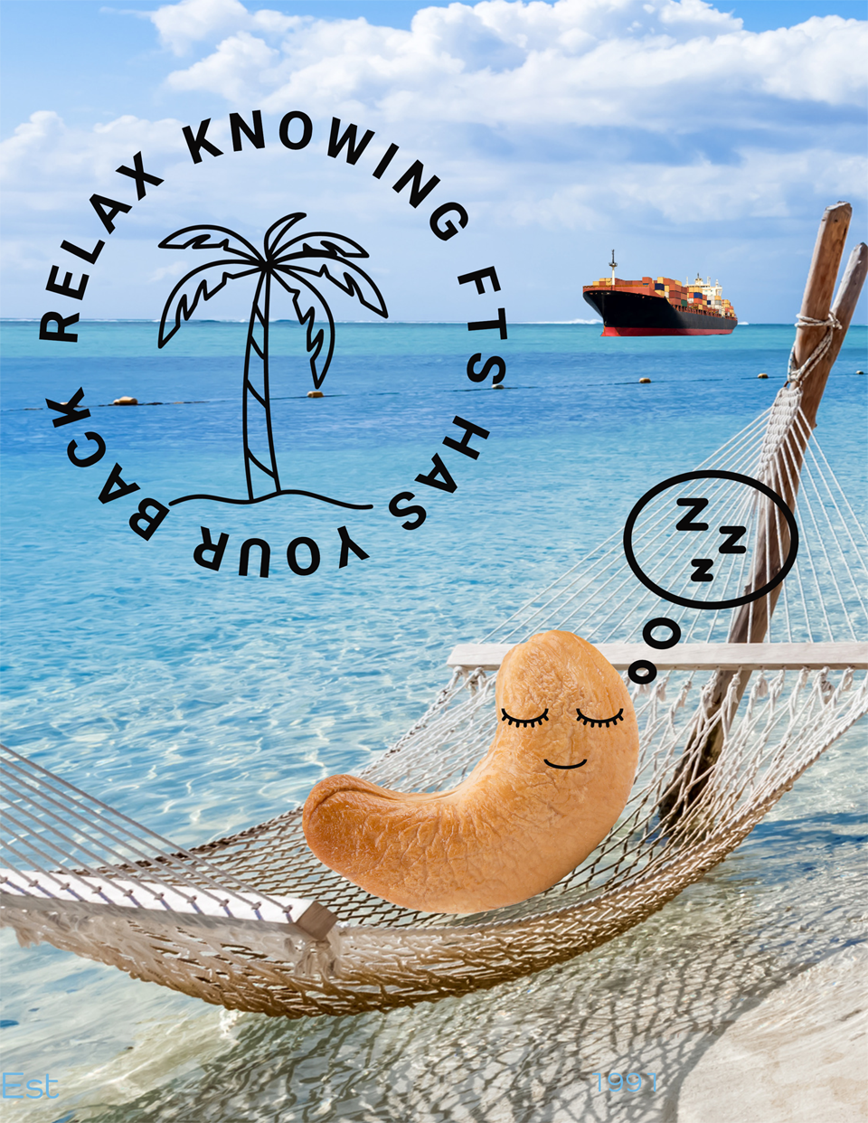 A hammock with a smiling, cartooned cashew nut resting on it, set on a beach with turquoise water and a cargo ship in the distance. The image includes a logo with a palm tree and the text "Relax, knowing FTSH your back."