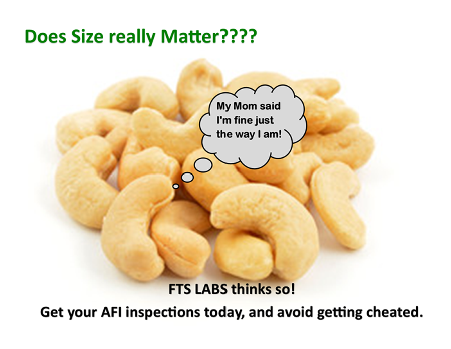 A pile of cashew nuts with a speech bubble saying "My Mom said I'm fine just the way I am!" and text above that reads "Does Size really Matter????". Below, it says "FTS LABS thinks so! Get your AFI inspections today, and avoid getting cheated."