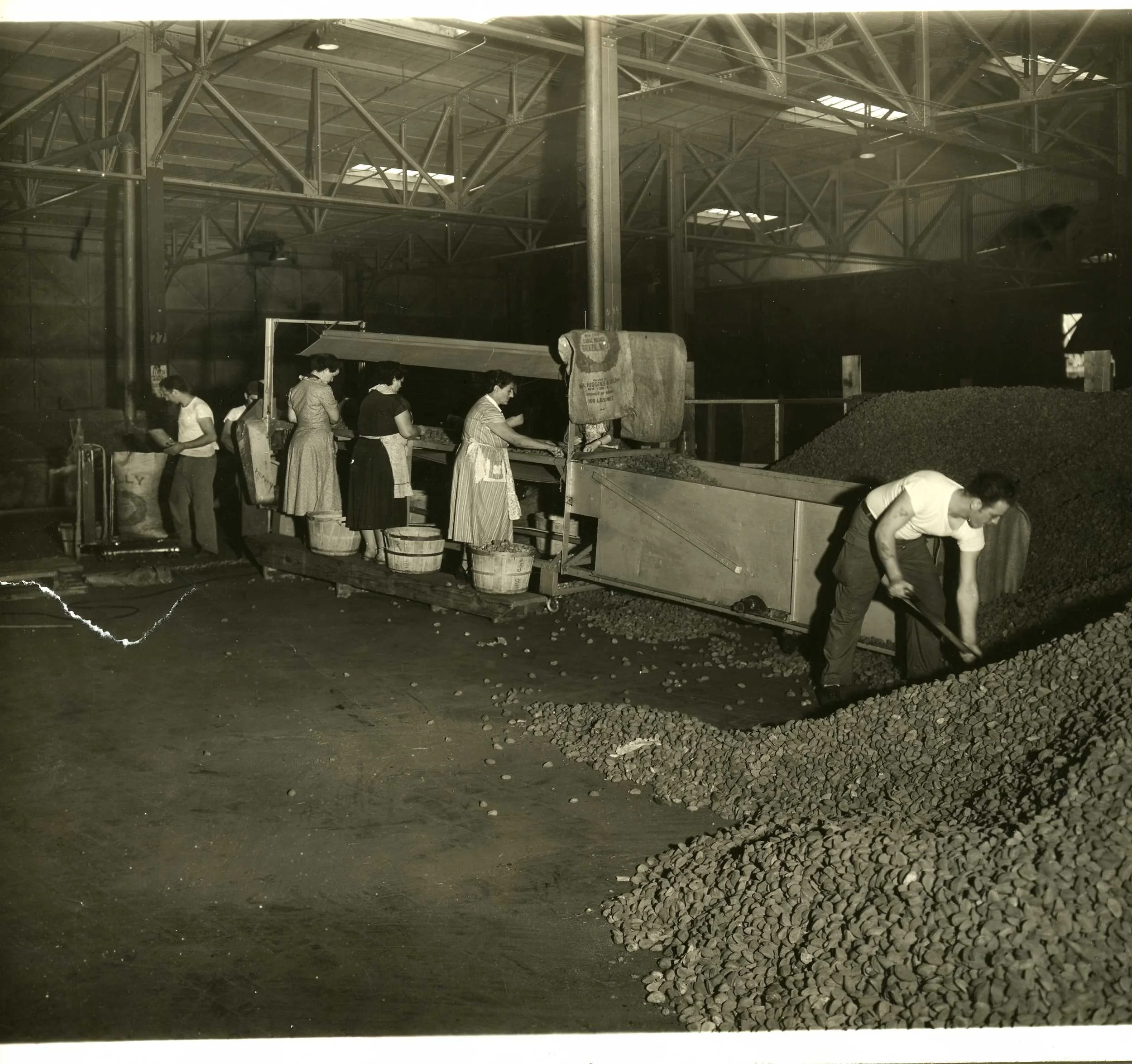 FTS 1950s FTZ No1.jpg