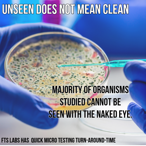 Close-up of a petri dish being examined with a pipette, with textual overlay about unseen organisms and cleanliness.