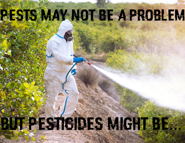Person in protective suit spraying pesticides in a garden with greenery, with text overlay reading 'Pests may not be a problem but pesticides might be...'